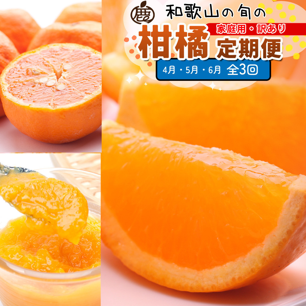 家庭用 柑橘定期便S（4～6月）全3回 ［IKE304］ 303446_BB90213