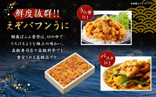【鮮度抜群！極上生えぞバフンうに】生うに折250g ふるさと納税 うに F4F-3210