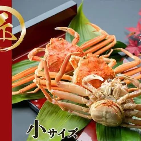 【11月中旬～12月下旬発送】セコガニ コッペがに 小サイズ 8～ 10杯セット 蟹 セコガニ