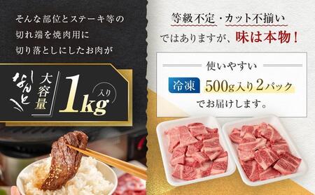 【7月配送】訳あり 飛騨牛焼肉用切り落とし たっぷり1kg （不揃い・大容量）| 訳あり BV027VC07