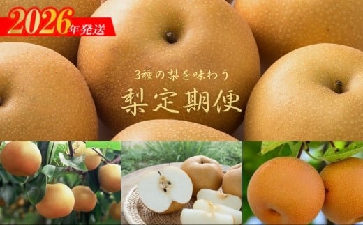 
            No.2535梨の3品種定期便【2026年発送　先行予約】
          