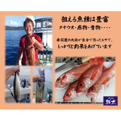 ふるさと納税 湖西市 釣りエサ用「鮭の皮」フリーカット約800g(深海・中深海釣りなど)お好きなサイズにカットしてください |  | 03