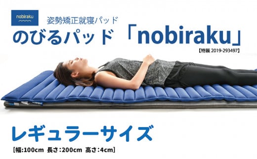 姿勢矯正就寝パッド nobiraku ノビラク【レギュラーサイズ】（通常タイプ）手洗い可
