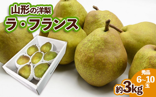 
山形の洋梨ラフランス 秀品 約3kg (6～10玉) FZ23-650
