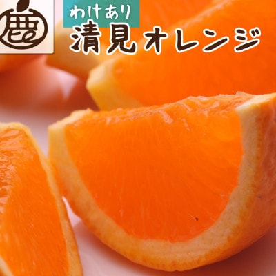 家庭用 清見2.5kg+250g(傷み補償分)【樹上完熟きよみオレンジ・清見タンゴール】【訳あり】【配送不可地域：離島・北海道・沖縄】【1176693】