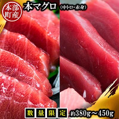ふるさと納税 本部町 【数量限定】本マグロ(中トロ・赤身)セット 約380g〜450g
