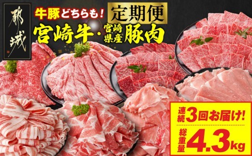 
                  ≪3回連続お届け≫とにかくお肉大好き!宮崎牛と宮崎県産豚定期便M(総重量4.3kg)_T48-3-N201_(都城市)  宮崎県産 牛肉 宮崎牛 豚肉 しゃぶしゃぶ すき焼き 焼肉 バラ ロース 肩ロース ウデ モモ
                