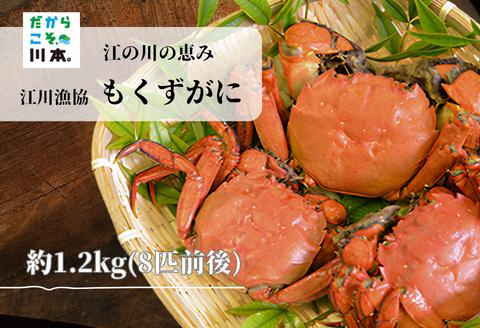 080057【一級河川・江の川の恵み・島根県産】もくずがに1.2kg