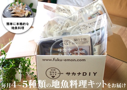 定期便 12ヶ月 サカナDIY 2人前 4 ~ 5 種×12ヶ月 魚料理キット 冷凍 CX214