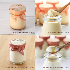 シュシュの種々様々な11種のプリン12個セット