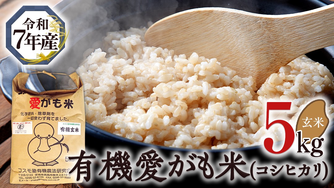 
                  愛がも米 「 コシヒカリ 」 5kg ( 玄米 ) 米 コメ こめ こしひかり 令和7年産 除草剤不使用 農薬不使用 化学肥料不使用 [AI004ci]
                