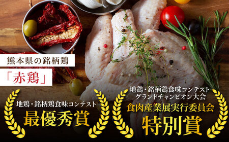 【6回定期便】赤鶏の手羽先 2kg【日本一鶏肉研究所 株式会社 】 鶏肉 赤鶏 手羽先 とり肉 鳥肉  [ZCU089]