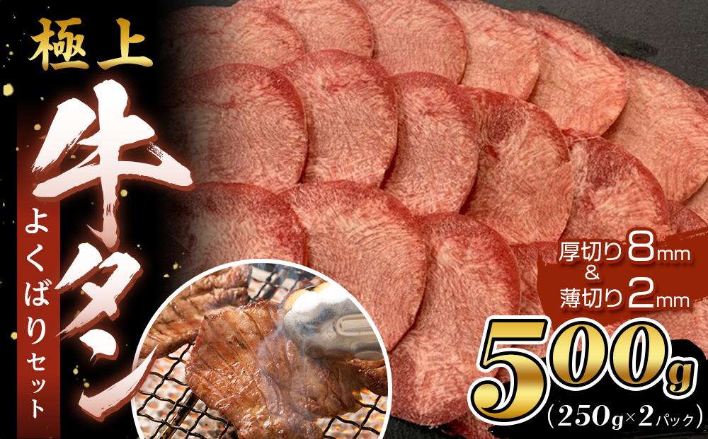 【エスイー】極上牛タンよくばりセット(厚切り＆薄切り)250ｇ×2パック 計500g[ 京都 食肉卸 自慢の肉質 牛タン セット 小分け 人気 おすすめ 肉 お肉 牛肉 焼肉 お取り寄せ 通販 送料無料 ギフト ふるさと納税 ] 261009_A-WX001