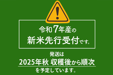 新米先行受付《8ヶ月定期便》【玄米】あきたこまち 10kg (10kg×1袋 ) 秋田県三種町産 令和6年産 下岩川舞 石井漠 をどるばか オリジナルラベル