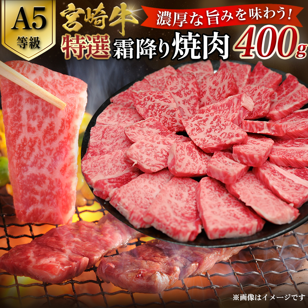 【A5等級】宮崎牛特選霜降り焼肉 （400g×1P） 宮崎牛 プレミアムシリーズ ブランド牛 和牛 牛肉 焼肉 特選和牛 霜降り A5 宮崎県 小林市