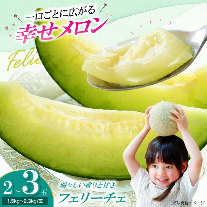 【ふるさと納税】【先行予約】【6月上旬から順次発送】 メロン フェリーチェ 2から3玉 | 人気 おすすめ ランキング おいしい 甘い めろん 大洲市/梶原農園 [AGCX002] 20000 20000円 以下