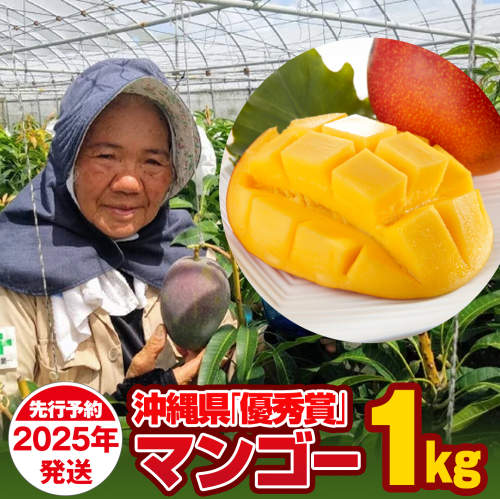 【2025年発送】芳醇な香り　とろける食感　沖縄県「優秀賞」マンゴー1kg