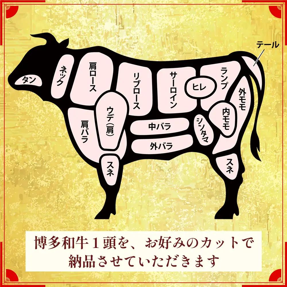 なんと＜A5等級＞博多和牛まるごと1頭 !! 2N2