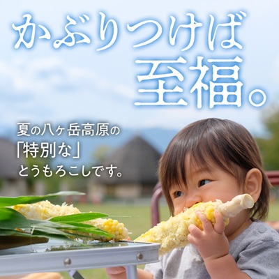 【発送月固定定期便】【先行受付】朝採れ 八ヶ岳生とうもろこし 10本全2回【配送不可地域：離島】