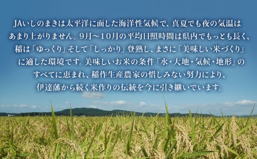 【定期便4回・毎月発送】宮城県いしのまき産米 10kg×4回 サ