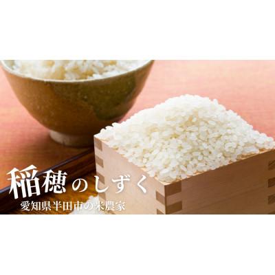 ふるさと納税 半田市 令和7年産　稲穂のしずく　白米　10kg