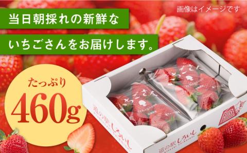 【R8年1月以降発送】【産地直送】白石産いちご「いちごさん」 約230g×2パック（計460g以上）【道の駅しろいしカンパニー】イチゴ [IAA037]