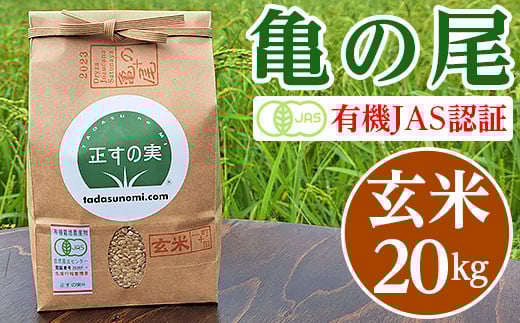 亀の尾 20kg 玄米 有機JAS認証 Oryza Jozucana Satonaya【正すの実】