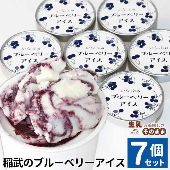 〈即日発送〉無農薬！皮ごと使用！ブルーベリー アイス×7個入り アイスクリーム ブルーベリー スイーツ  根羽村 ネバーランド 6000円