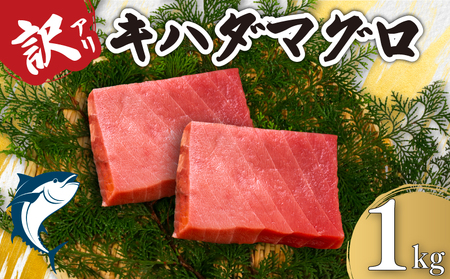 訳あり！ キハダマグロ 約1kg まぐろ