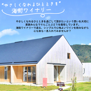 【地域コラボ / 数量限定】 大船渡・海街ワイン とお刺身3種のマリアージュセット ピノグリージョ 白ワイン お酒 お刺身 セット スチーム ボイル 晩酌 正月 お正月 刺し身 刺身 食べ比べ