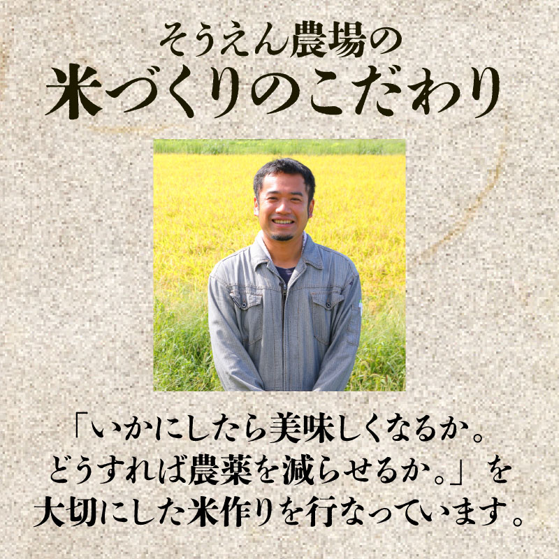 【定期便】 令和7年産 そうえん米コシヒカリ 10㎏×6か月  【 新潟県 新潟産 新潟米 新発田産 新発田 お米 米 コシヒカリ とんとん市場 せいだ そうえん米 10kg 60kg 6か月 半年 