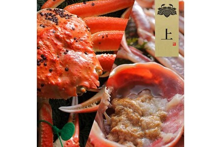 【創業明治元年　間人 炭平旅館の味】はしうど蟹　1000g級　茹で蟹　上1杯　[料亭捌き済]【2025年発送】