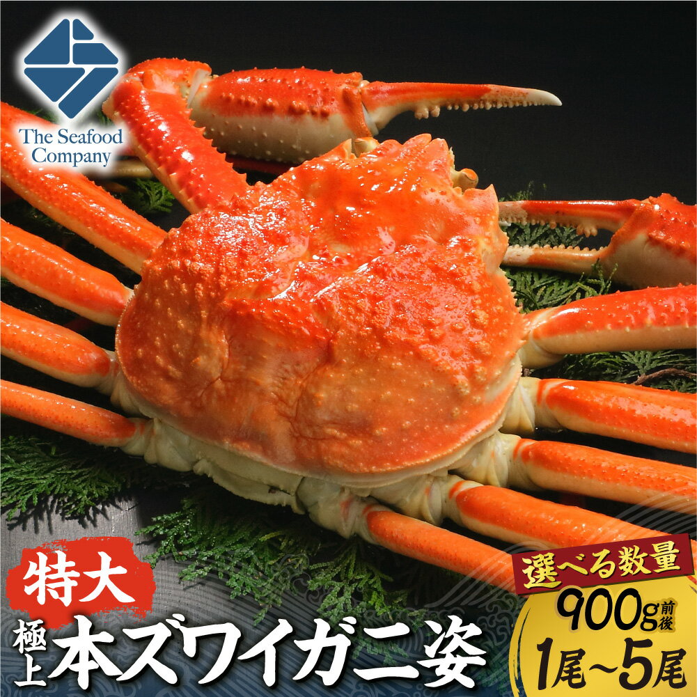 【ふるさと納税】 本ズワイ蟹 姿 【 選べる 数量 】 1尾 3尾 5尾 900g前後 極上 特大 ほんずわいがに 蟹 カニ 希少 濃厚 ミソ 蟹みそ かに味噌 お取り寄せ グルメ 海鮮 水産 魚介 冷凍 厳選 北海道 札幌市