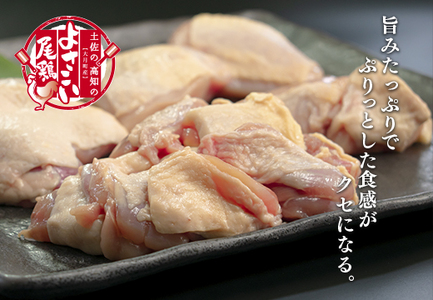 【定期便 4回】よさこい尾鶏 もも肉角切り(300g×3パック)