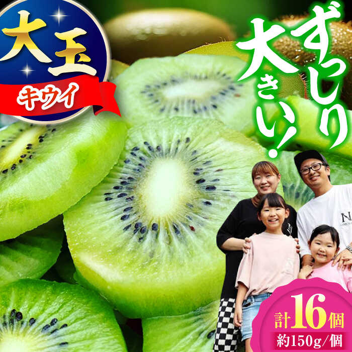 【ふるさと納税】【先行予約】【11月上旬から順次発送】キウイフルーツ 大玉(3L〜4L玉) 約150g×16個 甘熟パック入り フルーツキャップ付き 大洲市/西村農園[AGDC003] キウイ キウイフルーツ 果物 くだもの フルーツ 産地直送 おすすめ 人気 お取り寄せ 送料無料 贈答 ギフト
