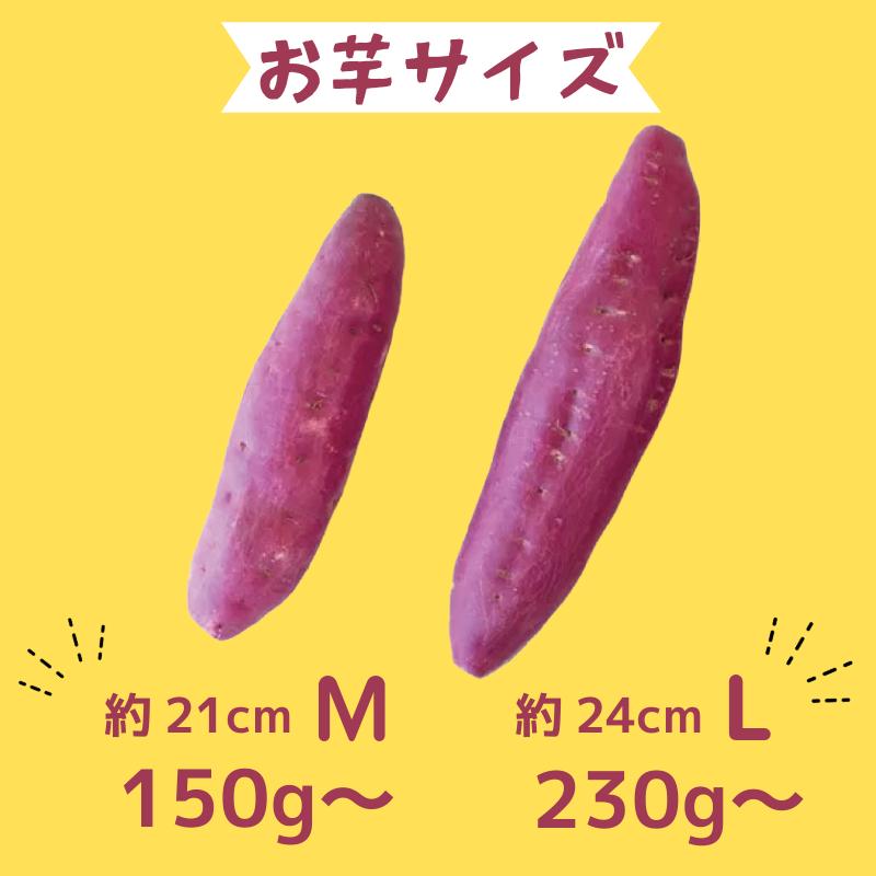 なると金時 里むすめ【Mサイズ5kg】2025年12月発送