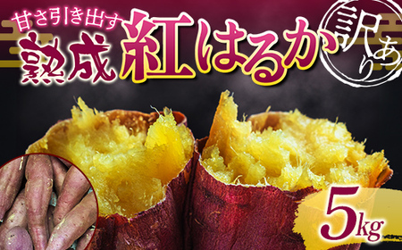 甘さ引き出す サイズ不揃い 熟成紅はるか 5kg さつまいも 訳アリ サツマイモ さつま芋 甘い おやつ 食品  F21T-474