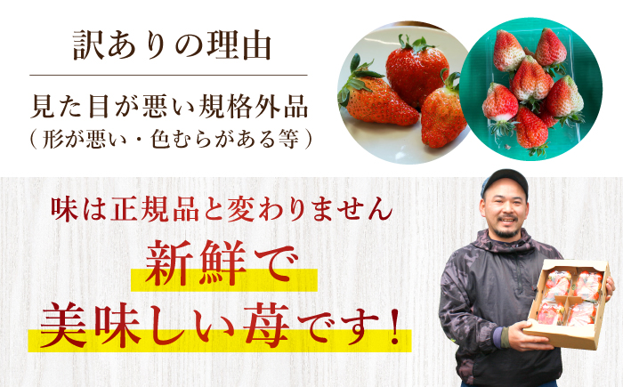 【数量限定】『訳あり』ゆめのか（苺）約2kg（250g×8パック）＜川原農園＞ [CDR005]