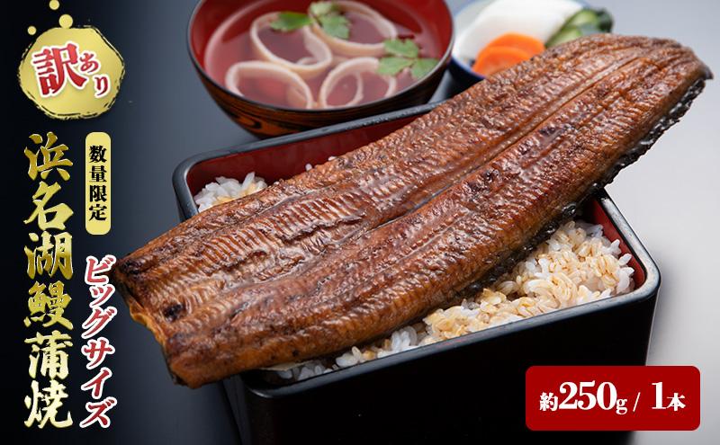 訳あり 国産 うなぎ 一般の約2倍 数量限定 蒲焼き 1本 250g 浜