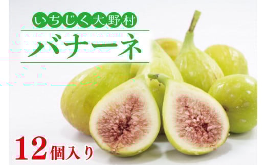 【数量限定】【先行予約】【7月～９月発送】いちじく大野村 (バナーネ) 12個入 フルーツ　果物（KAE-4）