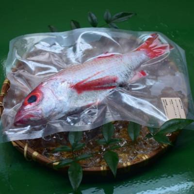 ふるさと納税 海陽町 【2024年7月以降順次発送】高級魚　ノドグロ約1kg(水揚げ時)　下処理済み急速冷凍で産地直送 |  | 02
