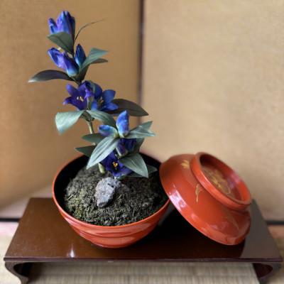 ふるさと納税 掛川市 【秋りんどう】四季を彩る創作草もの盆栽(工芸品)〜工房椿
