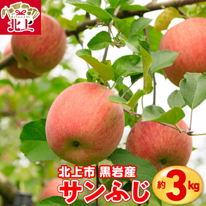 【ふるさと納税】岩手産 りんご ( サンふじ ) 約 3kg 国産 新鮮 産地直送 北上 黒岩産 林檎 フルーツ 果実 果物 リンゴ サンフジ フルーツ お歳暮 ギフト プレゼント 贈り物 産地直送 送料無料 岩手県 北上市 D0542 くろいわ産地直売所 ( NPO法人 明日の黒岩を築く会 )
