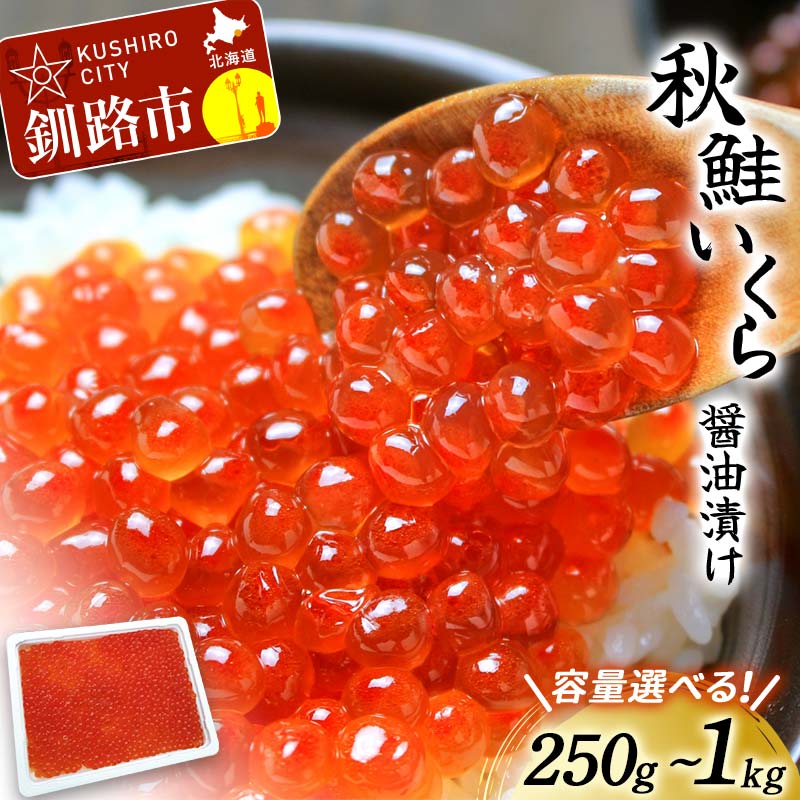【ふるさと納税】発送時期が選べる 【北海道産】秋鮭 いくら醤油漬け 250g or 500g（250g×2パック）or 1kg（250g×2パック×2箱）定期便 いくら イクラ 魚卵 魚介類 海鮮 小分け F4F-3791var