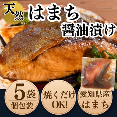 ふるさと納税 南知多町 純国産【個包装】 天然 はまち 醤油漬け 5袋セット 岬だより