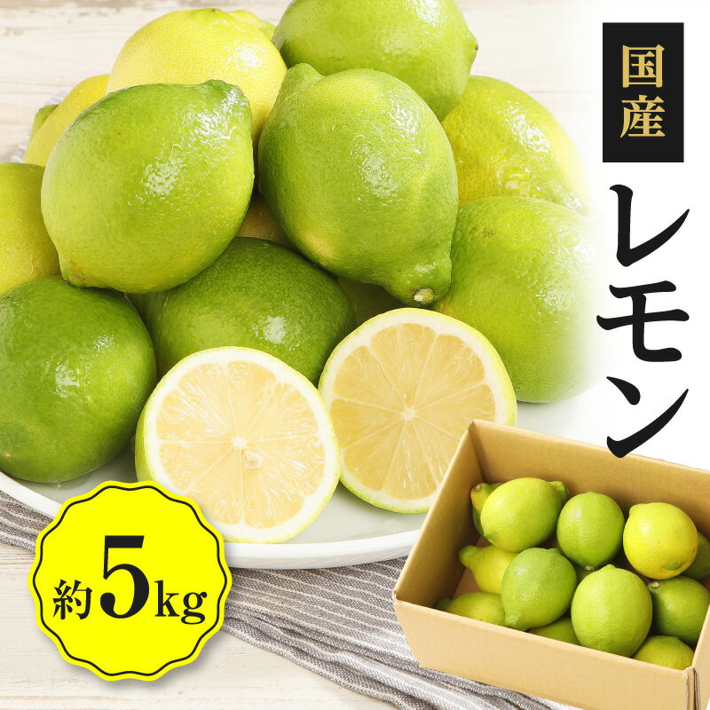 【ふるさと納税】レモン　約5kg【2025年11月下旬～2026年4月上旬配送】 | レモン 果物 レモン果汁 レモン汁 果汁 フルーツ 檸檬 高品質 人気 安心 安全 お取り寄せ 自宅用 家庭用 アレンジ スムージー レモネード レモンケーキ レモン水 料理 ビタミン 高松市産 産地直送