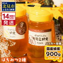 【ふるさと納税】《14営業日以内に発送》【国産蜂蜜】はちみつ450g パッカー容器2本 ( 白花豆蜂蜜　百花蜂蜜 はちみつ 蜂蜜 ハチミツ ハニー パッカー容器 )