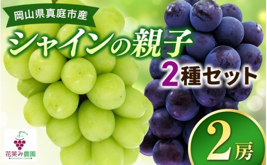 【2027年先行予約】岡山 花笑み農園　『園主おすすめぶどう2種セット』～シャインの親子セット～ ｜ 果物 詰め合わせ 岡山 ぶどう 真庭市 シャインマスカット マスカサーティン 果物 詰め合わせ ぶどう シャインマスカット 【hana065-03】