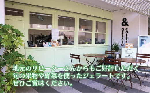 ジェラート 2L 500ml ? 4種類 セット 先行予約 2026年7月発送 大容量 アイス 卵不使用 おまかせ 詰め合わせ 手作り アイスクリーム フルーツ あいす じぇらーと スイーツ デザート 果物 野菜 旬 フルーツ プレゼント ギフト 贈答 贈り物 人気 こだわり 10000円 ジェラートファクトリー 湘南 藤沢