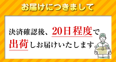 【ふるなび限定】【数量限定品】MacBook Air (15インチ, M2, 2023) 8GB 512GB 【中古再生品】FN-Limited【納期約90日】アップル Mac マックブック マックブ